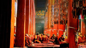 Giác Ngộ : Theo Bước Chân Phật (Phim tài liệu)